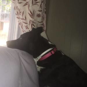 Meet your Posher, Cesar